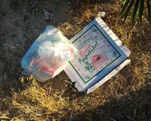 Basket in piazzetta Peter Pan, oggi «riscaldamento»: aspettando il torneo, nel pomeriggio volontari al lavori per rimuovere i rifiuti