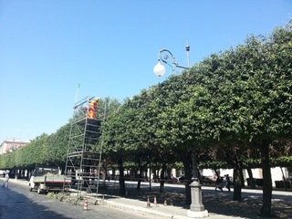 Verde pubblico, sorteggi e rinunce: gestione alla Re Manfredi fino a fine mese