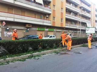 Trani, finalmente tagliate le aiuole spartitraffico: rimossi fino a 30 centimetri in altezza e larghezza