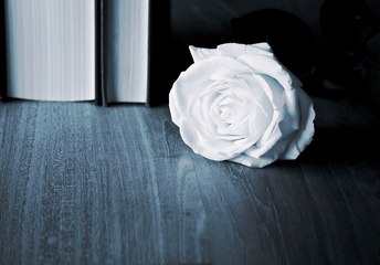 Onoranze funebri a Trani, nuova battaglia legale: impugnata la liberalizzazione disposta dal commissario straordinario