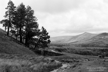 Biblioteca di Trani, si conclude oggi la mostra 