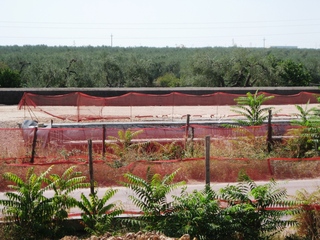 Lavori sulla Trani-Andria, Giorgino e Bottaro vedono il bicchiere mezzo pieno