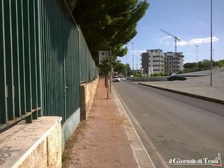 Scuola media Baldassarre di Trani: bonifica a metà. Possibili rischi per gli aghi di pino in via Istria