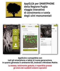 E l'app per il catasto degli ulivi monumentali a Trani e in Puglia già c'è