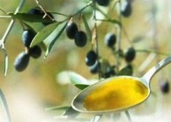Olio dalla Tunisia, Uva (Oltre con Fitto): «Come alle trivelle, anche su questo grave pericolo Trani dica 
