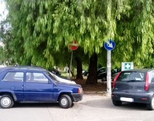 Segnali oscurati dalla vegetazione incolta: rischio incidenti lungo il viale dell'ospedale di Trani