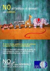 «No al circo con animali»: oggi, a Trani, l'Oipa inviterà i cittadini a boicottarlo: spettacolo alternativo per chi accetta
