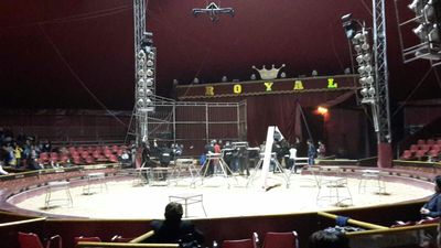 In trenta contro gli animali del circo a Trani: solo in pochi si sono convinti a non entrare