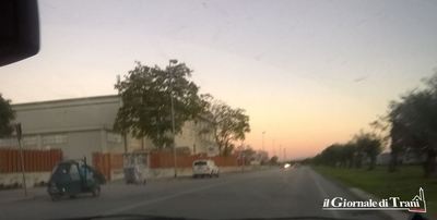 Trani, rubano due quintali di olive in via Falcone e li caricano su un tre ruote