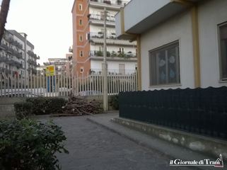 AGGIORNATO. Trani, via alla refezione scolastica. E, in via Falcone, bonifica degli alberi davanti alla scuola