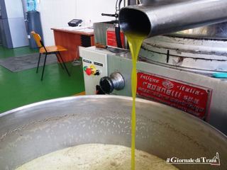 FOTO. Frantoi aperti, anche «Oro di Trani» nella gran festa dell'olio buono e di qualità