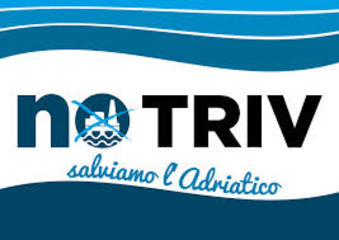 Trivelle, consulta ammette il referendum. Commenti positivi da Trani