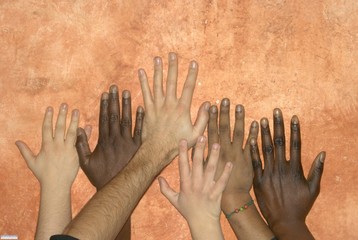 Rifugiati e richiedenti asilo: a Trani 8, a Bisceglie 42. Il governo non potrà inviarcene altri. Incarico all'Oasi 2