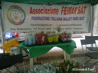 Oggi a Trani raccolta fondi della Feimar Bat onlus