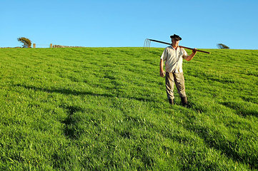 Agricoltura a Trani, «serve la collaborazione di tutti»: incontro tra alcune associazioni di categoria e il sindaco