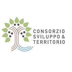I progetti per Trani del «Consorzio sviluppo e territorio»: Hackaton, cattedrale patrimonio Unesco e piano del traffico