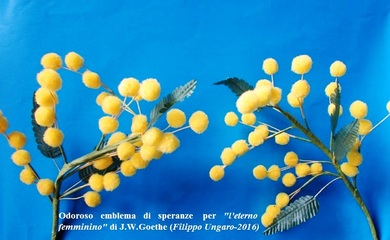 «Otto marzo, auguri alle donne di tempi più miti». Filippo Ungaro in ricordo di Khushboo Kumari