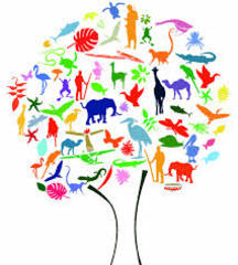 Oggi, all'istituto «Aldo Moro» di Trani, seminario «Biodiversità per alimentare il futuro»