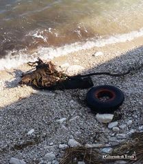 Spiagge di Trani, chi si ricorda del tratto di mare tra castello e cattedrale?