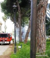 Trani incustodita, incendio nella «casetta del guardiano» di Villa Bini: prontamente domato, ma il degrado resta