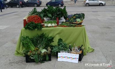 Le eccellenze di Trani in onda su RaiUno: il racconto di una mattinata tra nebbia e delizie