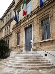 Gettoni benefici: consigliere di maggioranza torna a fare risplendere l'ingresso del Comune di Trani