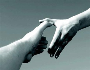 Spallucci (Omi): «Trani mediterranea, modello in costruzione»