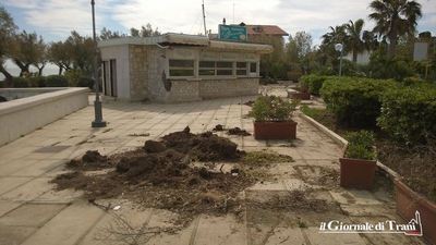 Vandali ancora in azione nei pressi del chiosco abbandonato sul lungomare di Trani: aspettando la gara per la gestione, rovesciate e distrutte anche le fioriere