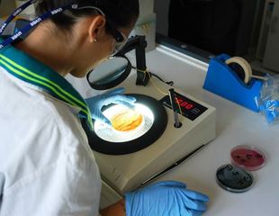 Discarica di Trani, fra i metalli l'unico intruso resta il manganese