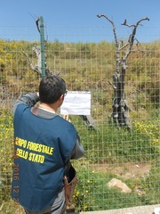 Dispersione di percolato: dopo Trani, sequestrata anche la discarica di Giovinazzo
