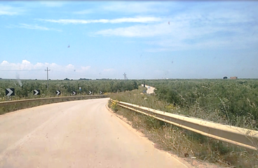 Prevenzione incendi lungo le strade, bonifiche impossibili: Barletta-Andria-Trani senza soldi in capitolo