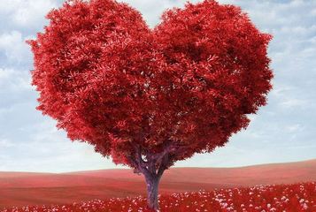 Oggi a Trani, ultimo giorno del convegno «Cardio Bat 2016»