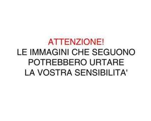 Turista tedesco cade e batte rovinosamente il capo nei pressi della cattedrale di Trani: trasportato in codice rosso ad Andria, non è in pericolo