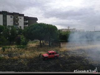 Trani, fiamme su un terreno incolto. L'intervento dei Vigili del fuoco ha evitato il peggio