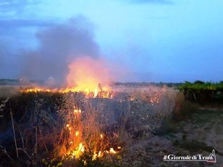 Incendio nei pressi di Santa Geffa: intervento tempestivo degli operatori di Trani soccorso