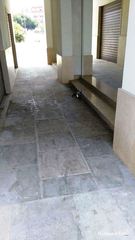 Deiezioni, urine e scritte sugli arredi urbani: degrado nell'ex area Lapietra e cartelli in corso Italia