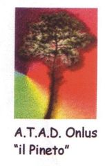 «Nessuno escluso...Tutti al lavoro!»: oggi, a Trani, la presentazione del progetto per persone disabili