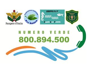 Torna il numero verde per la segnalazione dei reati del mare e ambientali sul demanio marittimo