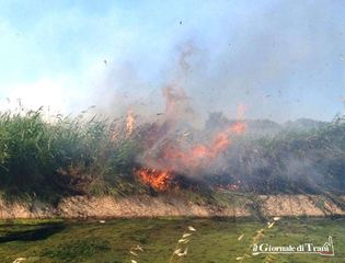 Incendi, Vigili del fuoco e Trani soccorso in azione per un vasto rogo in contrada Monte d'Alba