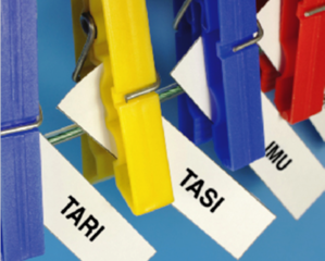 Tasse e tributi, per quest'anno a Trani è tutto confermato. I numeri