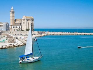 Spallucci (Omi Trani): «La sana ambizione tranese di pensare in grande»