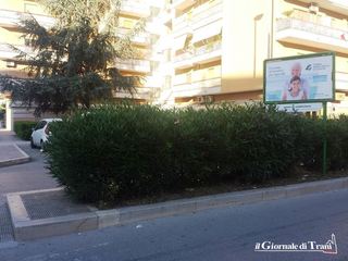 Trani, siepi troppo alte: rischio incidenti in corso De Gasperi