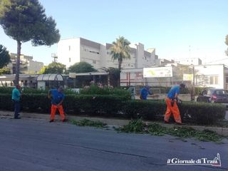 Spartitraffico a Trani, in corso il taglio delle siepi per restituire la sicurezza stradale