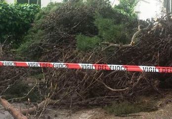 Cade ramo nella villa di Trani: sfiorata, ma illesa, una bimba. Problemi anche in piazza Kolbe