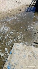 Straccio nel water, salta la fogna nera: liquami ieri pomeriggio sulla spiaggia di Trani. Intervento d'urgenza di Aqp