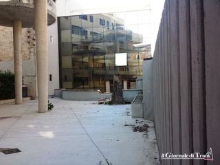 Tronco marcio, cade la palma dell'Unep di Trani: danni alle sole cose