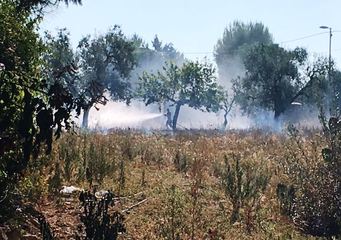 Nuovo incendio a Trani Capirro, vigili del fuoco tempestivi per spegnere i numerosi focolai