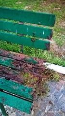 Panchina arrugginita e tagliente: nel parco giochi della villa di Trani il pericolo è sedersi