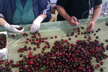Verso il consiglio: nel nuovo Gal Ponte Lama c'è anche Molfetta. Debiti fuori bilancio, importi «contenuti»
