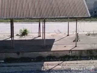 Stazione di Trani, il pericolo nella terra di nessuno: bimbi giocano ad un passo dai binari